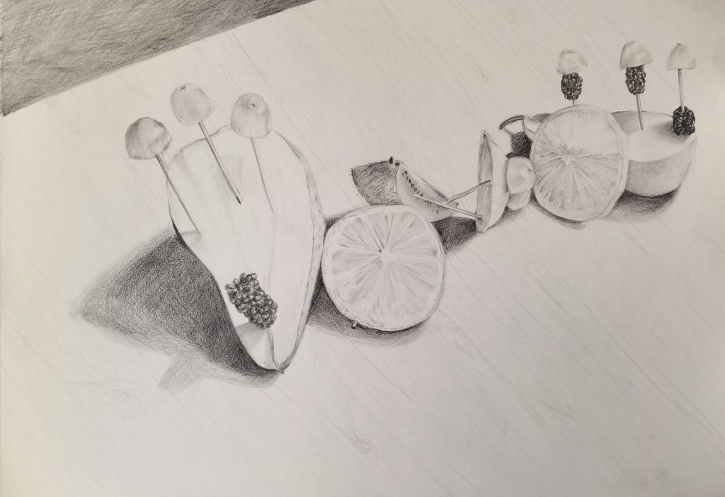 Fruit Sculpture. 2017. Graphite on paper. 18 x 24 in / 45.72 x 60.96 cm